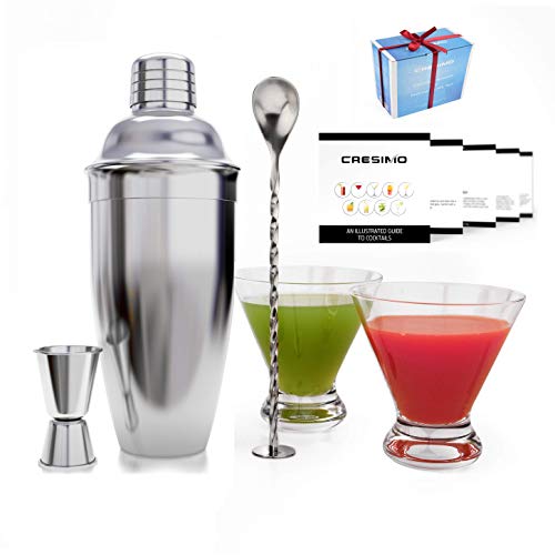 21 Best and Coolest Glass Shakers